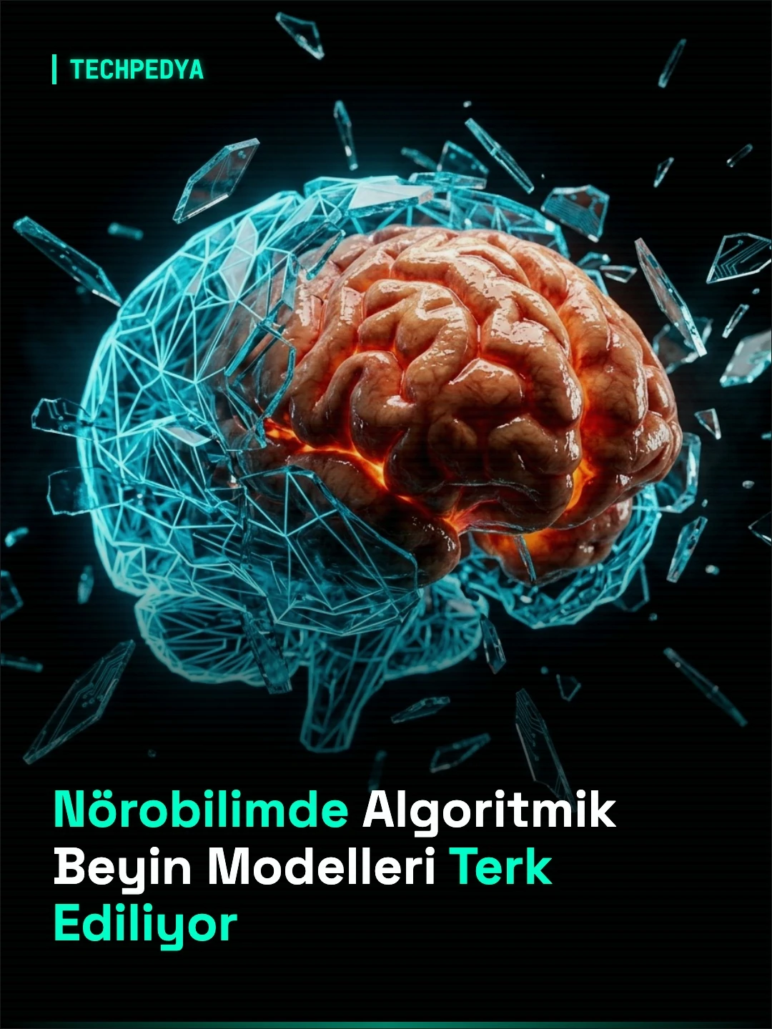 Nörobilimde Algoritmik Beyin Modelleri Terk Ediliyor