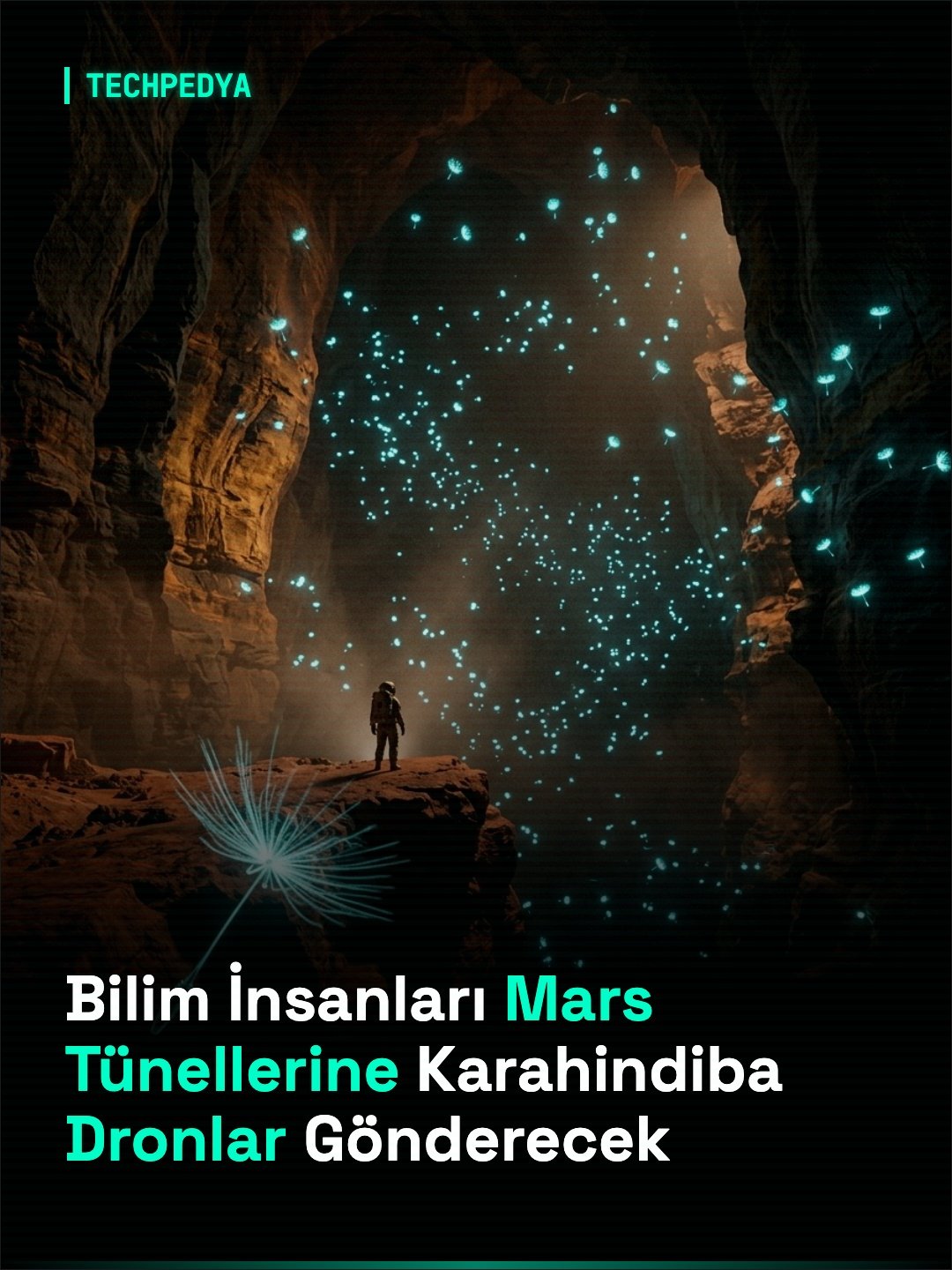 Bilim İnsanları Mars Tünellerine Karahindiba Dronlar Gönderecek