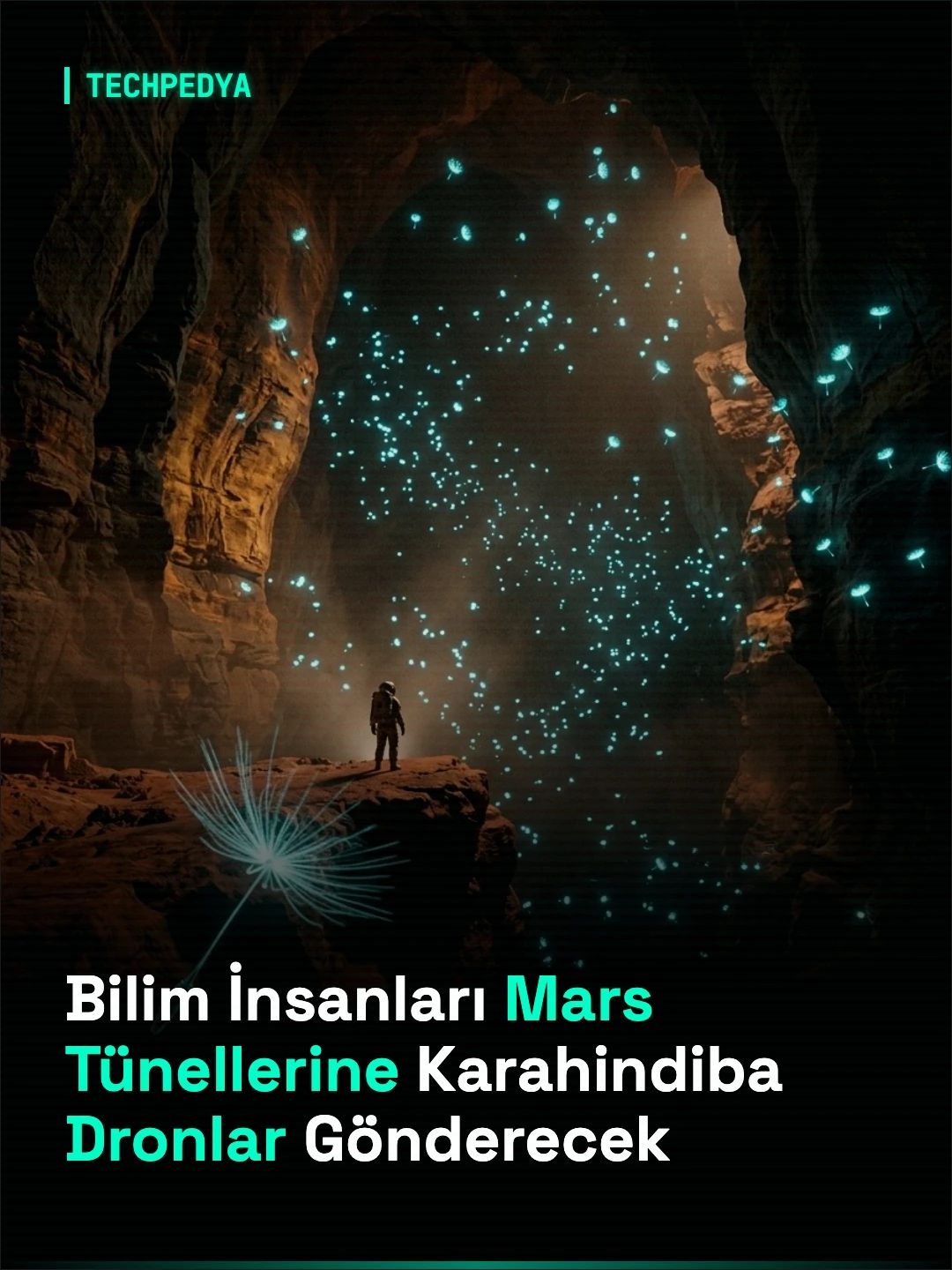 Bilim İnsanları Mars Tünellerine Karahindiba Dronlar Gönderecek