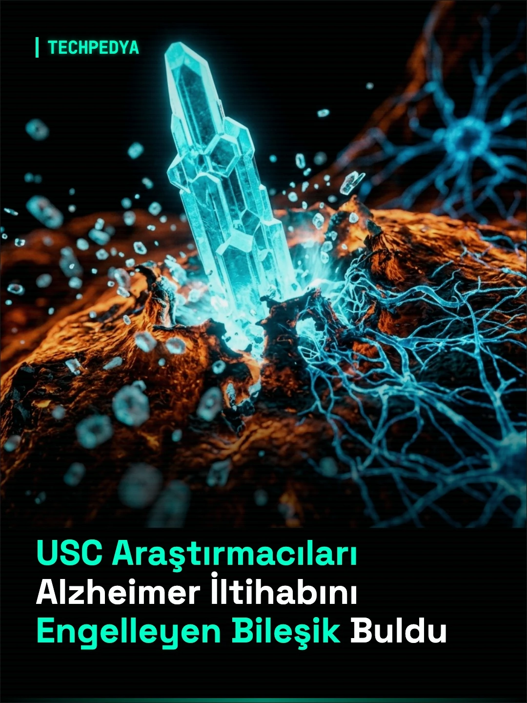 USC Araştırmacıları Alzheimer İltihabını Engelleyen Bileşik Buldu