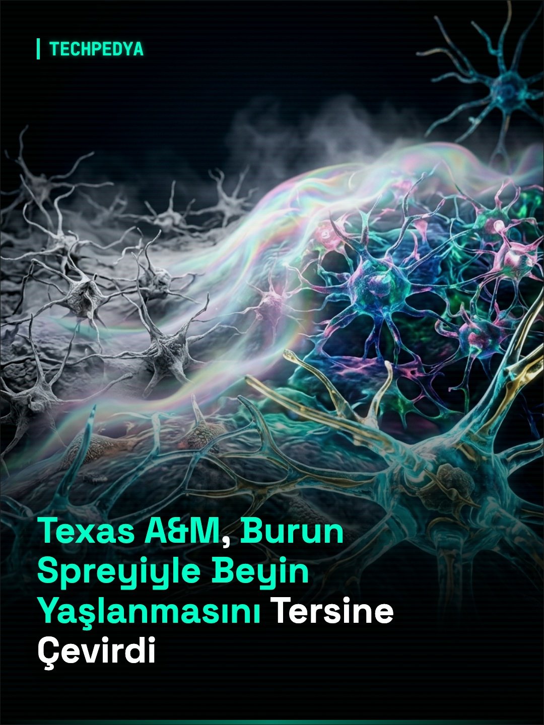 Texas A&M, Burun Spreyiyle Beyin Yaşlanmasını Tersine Çevirdi