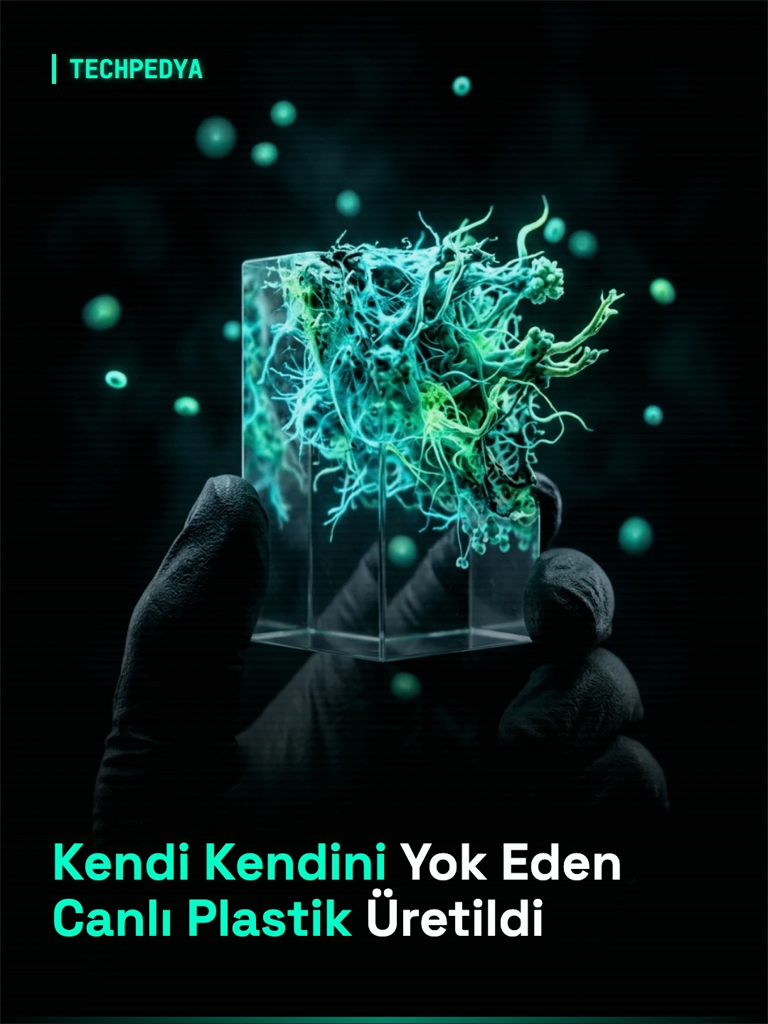 Kendi Kendini Yok Eden Canlı Plastik Üretildi