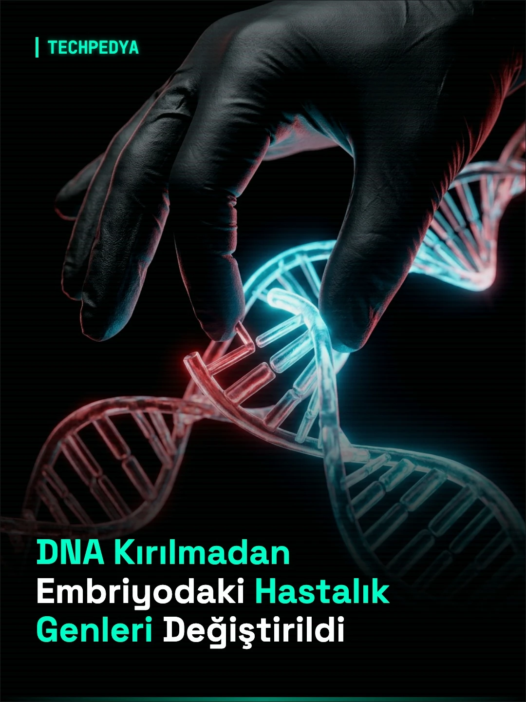 DNA Kırılmadan Embriyodaki Hastalık Genleri Değiştirildi