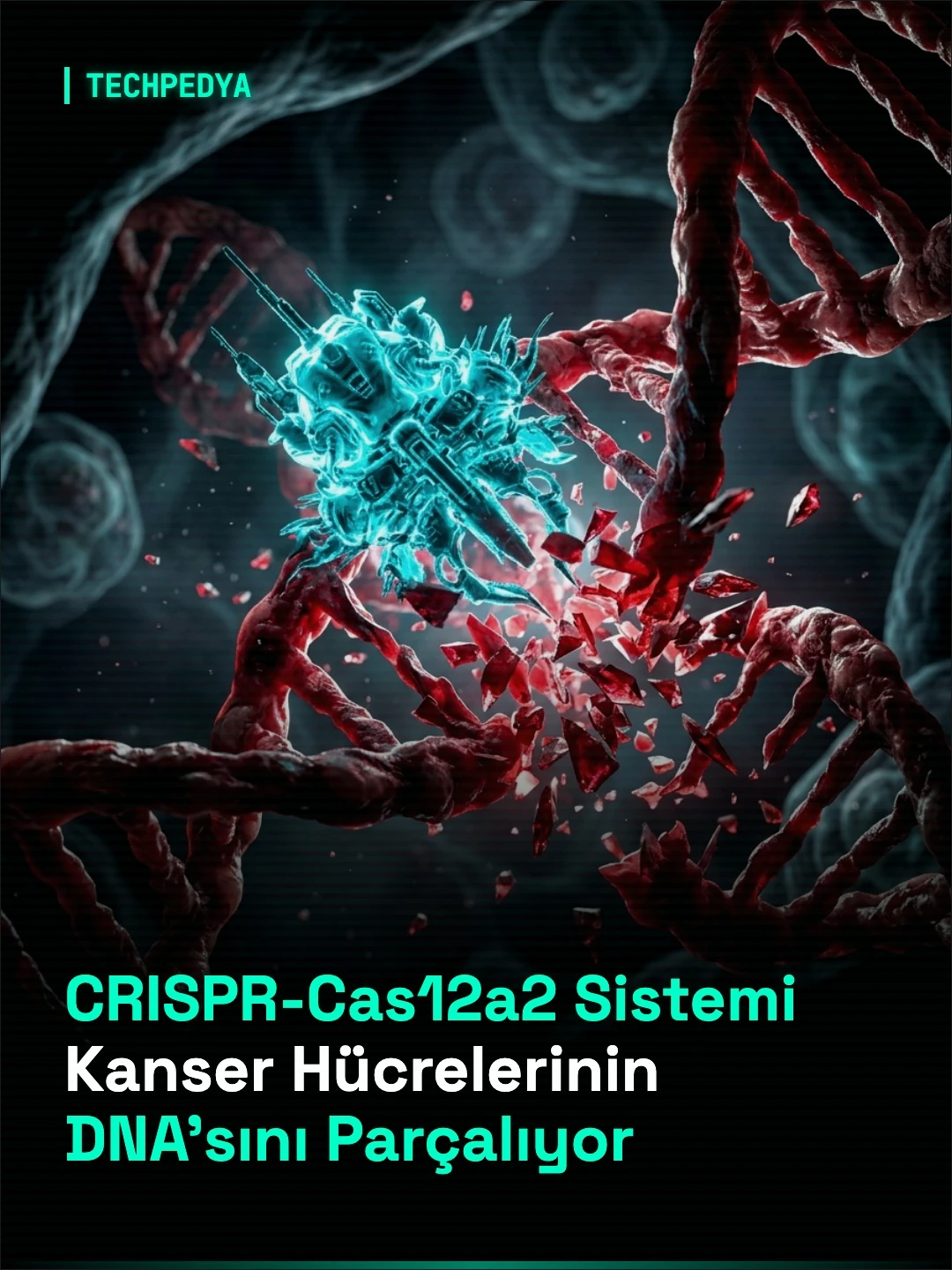 CRISPR-Cas12a2 Sistemi Kanser Hücrelerinin DNA'sını Parçalıyor