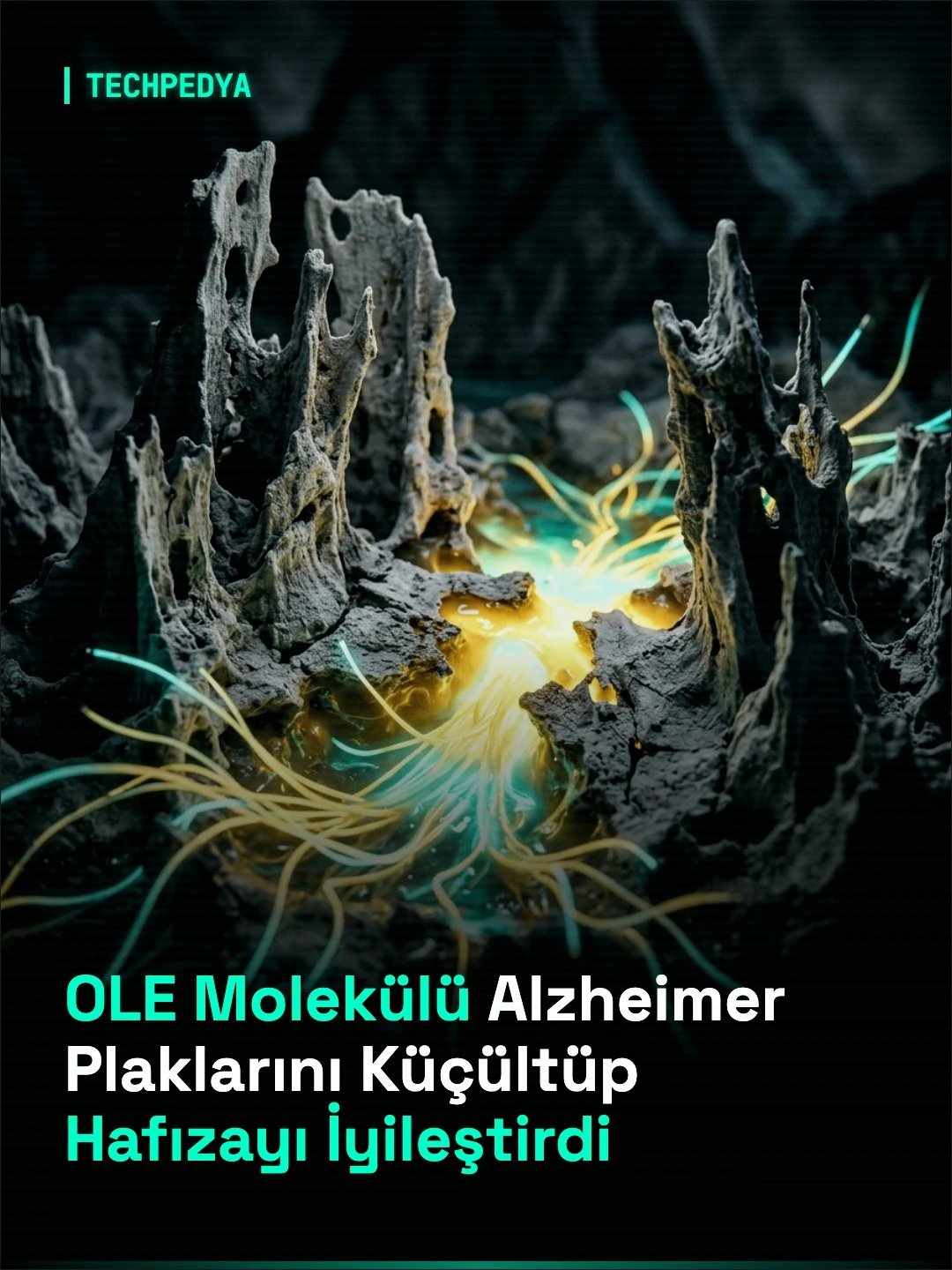 OLE Molekülü Alzheimer Plaklarını Küçültüp Hafızayı İyileştirdi