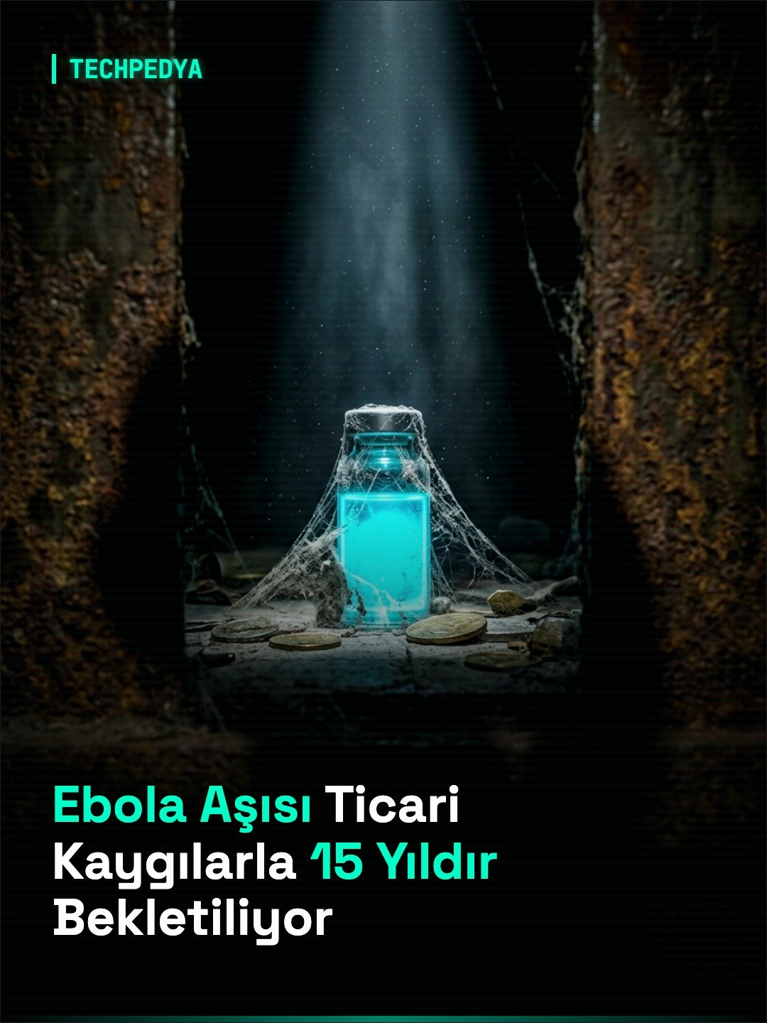 Ebola Aşısı Ticari Kaygılarla 15 Yıldır Bekletiliyor