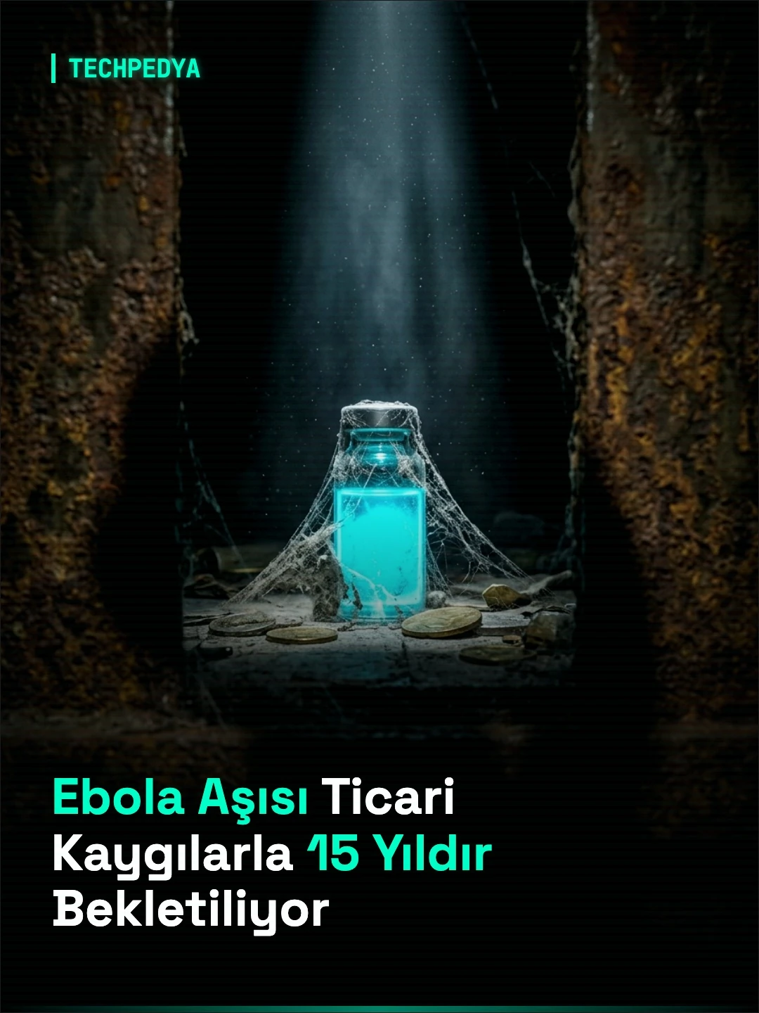 Ebola Aşısı Ticari Kaygılarla 15 Yıldır Bekletiliyor