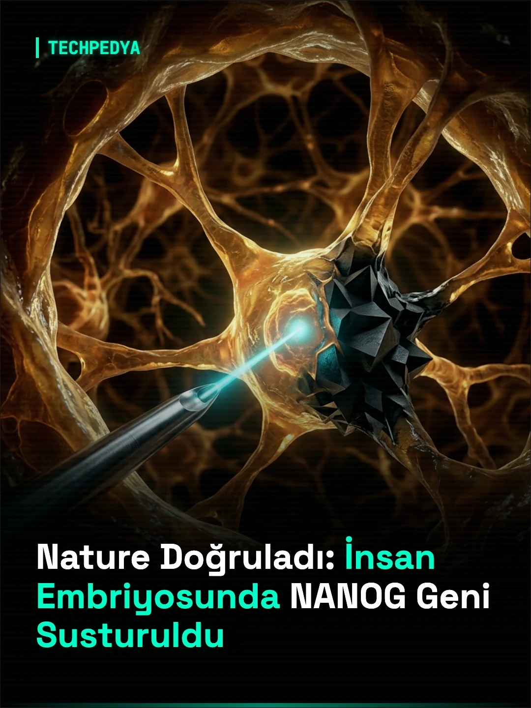 Nature Doğruladı: İnsan Embriyosunda NANOG Geni Susturuldu