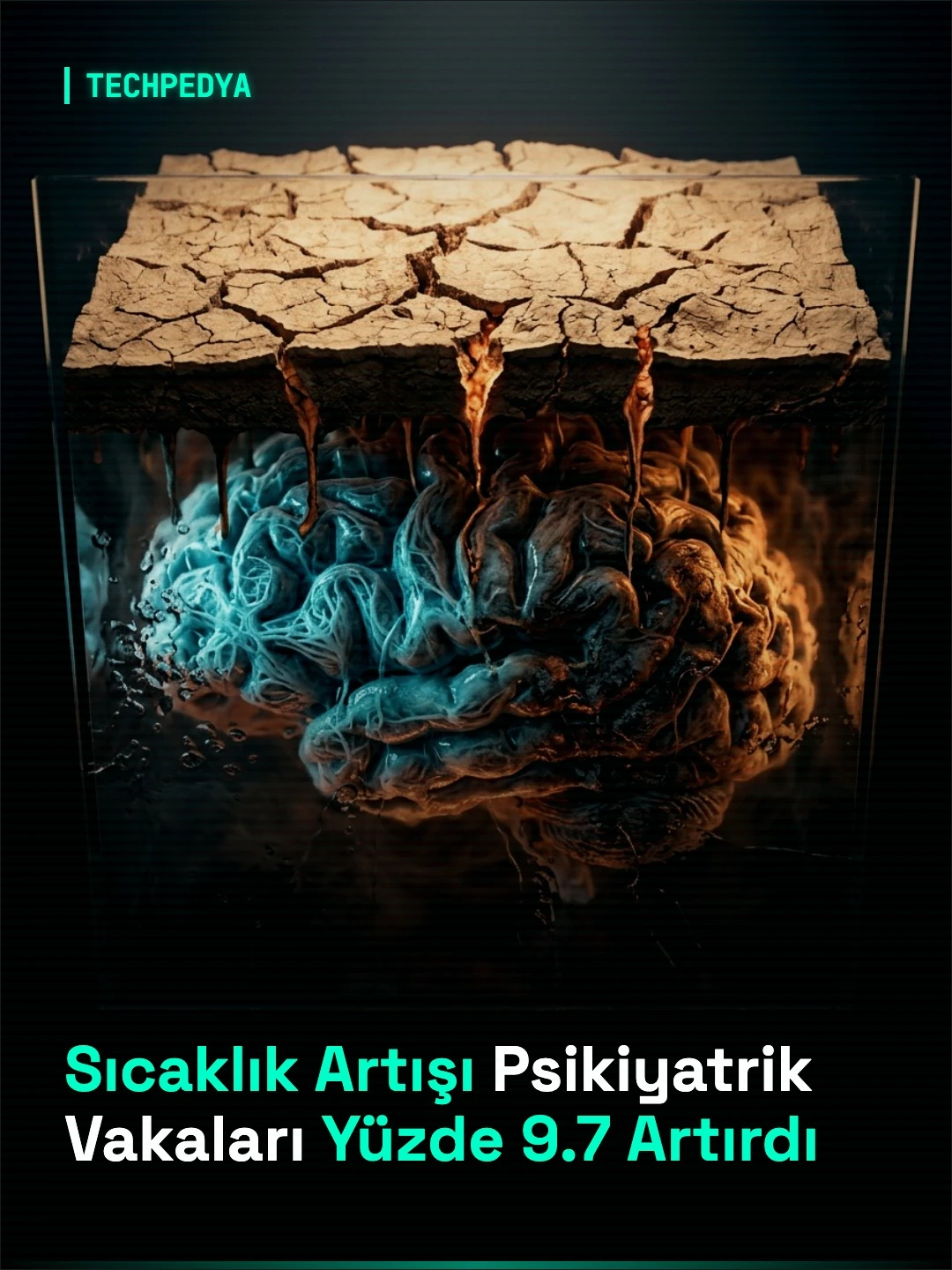 Sıcaklık Artışı Psikiyatrik Vakaları Yüzde 9.7 Artırdı