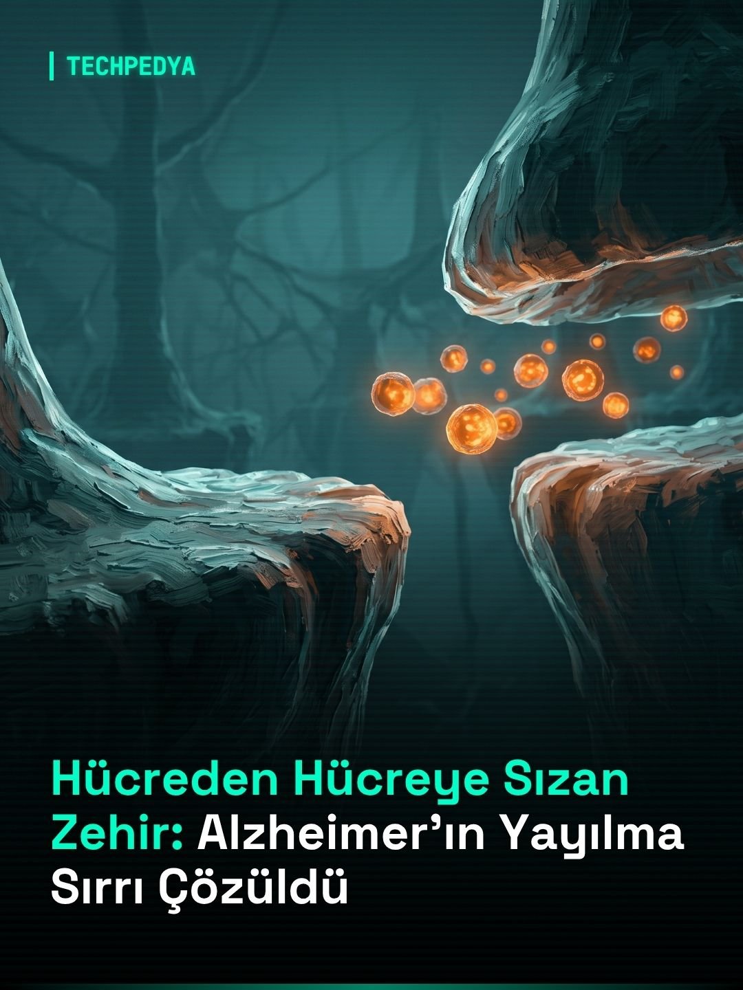Hücreden Hücreye Sızan Zehir: Alzheimer’ın Yayılma Sırrı Çözüldü