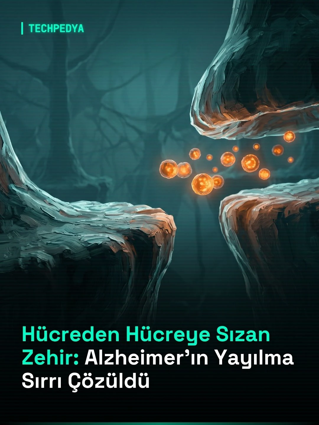 Hücreden Hücreye Sızan Zehir: Alzheimer’ın Yayılma Sırrı Çözüldü