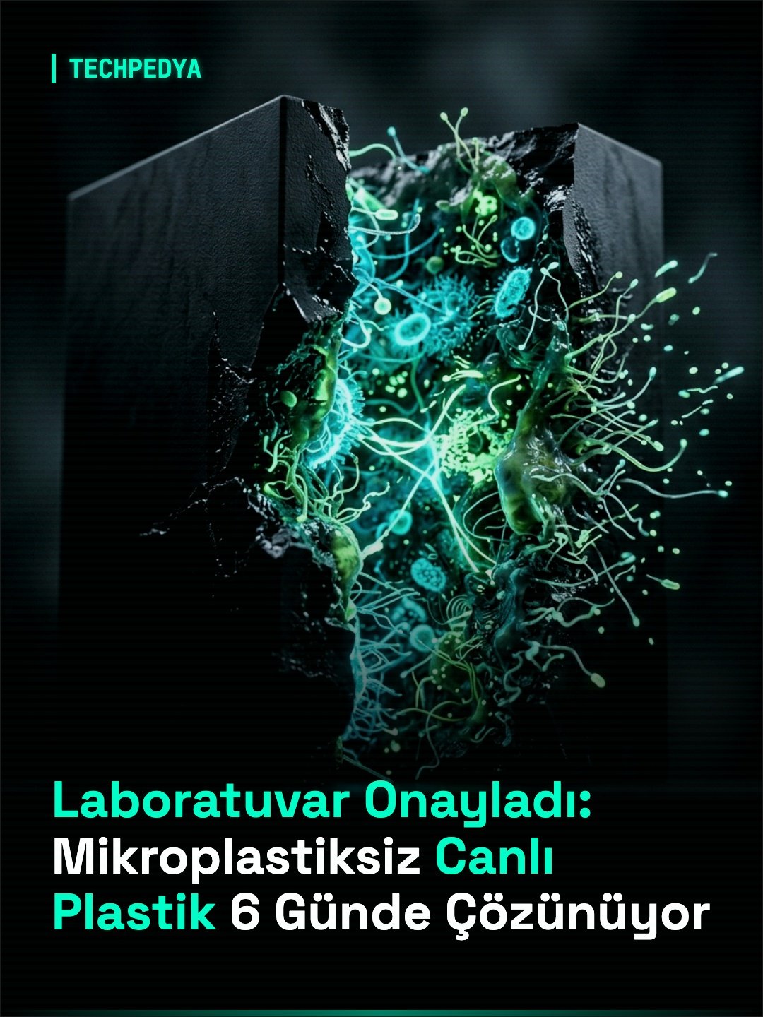 Laboratuvar Onayladı: Mikroplastiksiz Canlı Plastik 6 Günde Çözünüyor