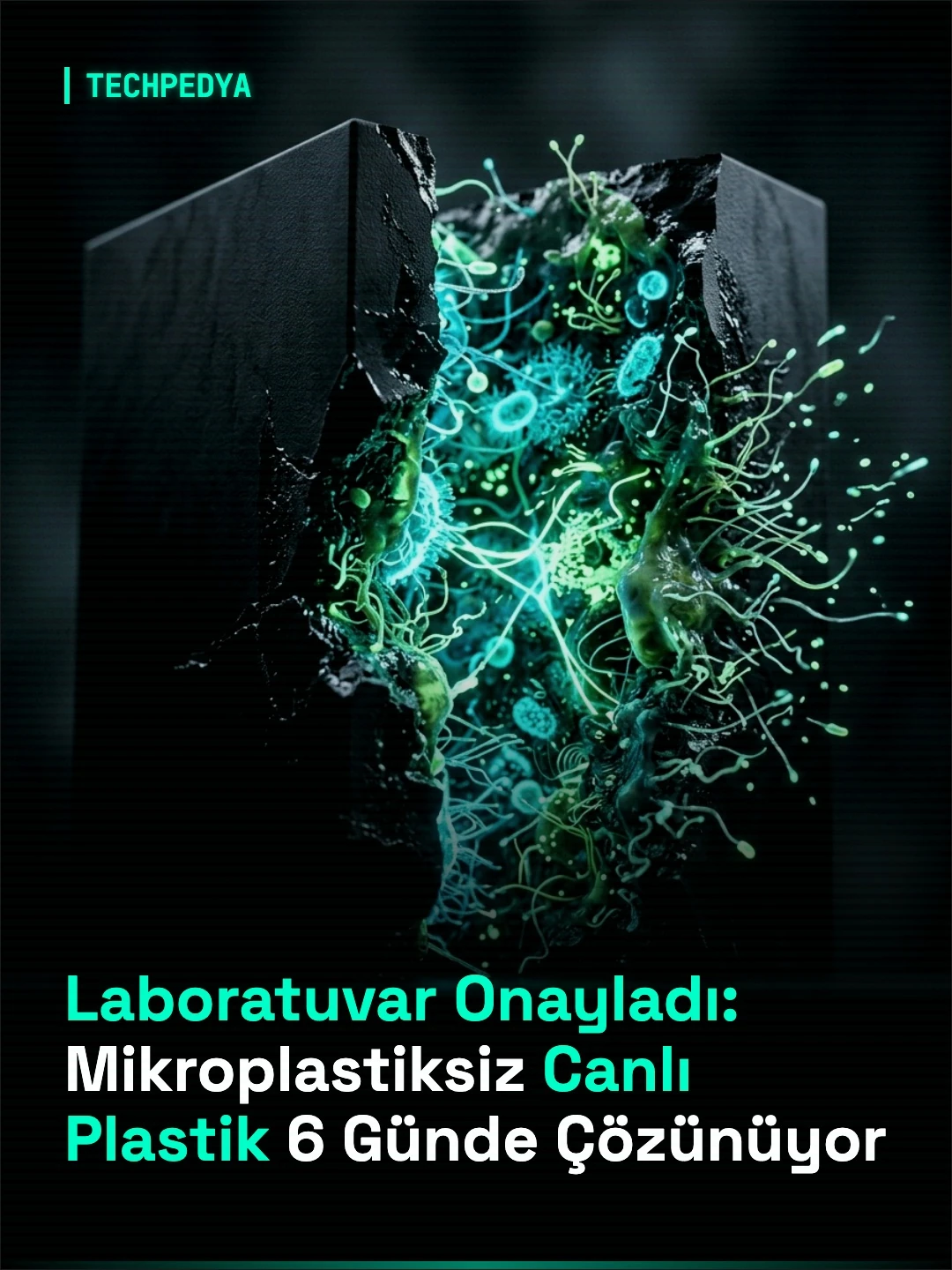 Laboratuvar Onayladı: Mikroplastiksiz Canlı Plastik 6 Günde Çözünüyor