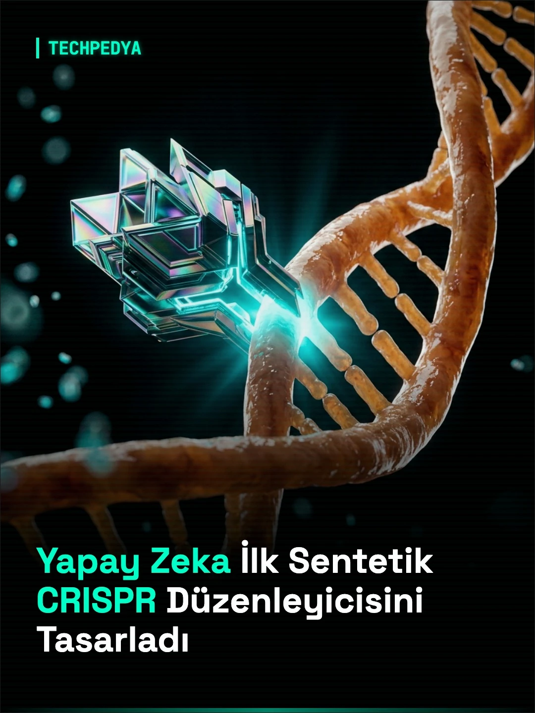 Yapay Zeka İlk Sentetik CRISPR Düzenleyicisini Tasarladı