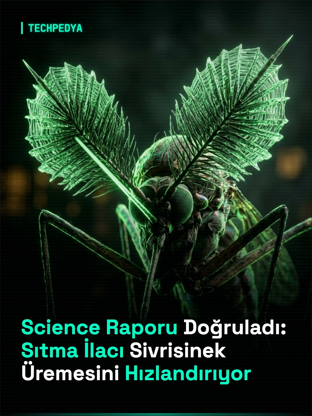 Science Raporu Doğruladı: Sıtma İlacı Sivrisinek Üremesini Hızlandırıyor
