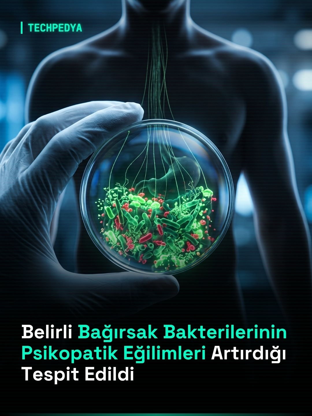 Belirli Bağırsak Bakterilerinin Psikopatik Eğilimleri Artırdığı Tespit Edildi