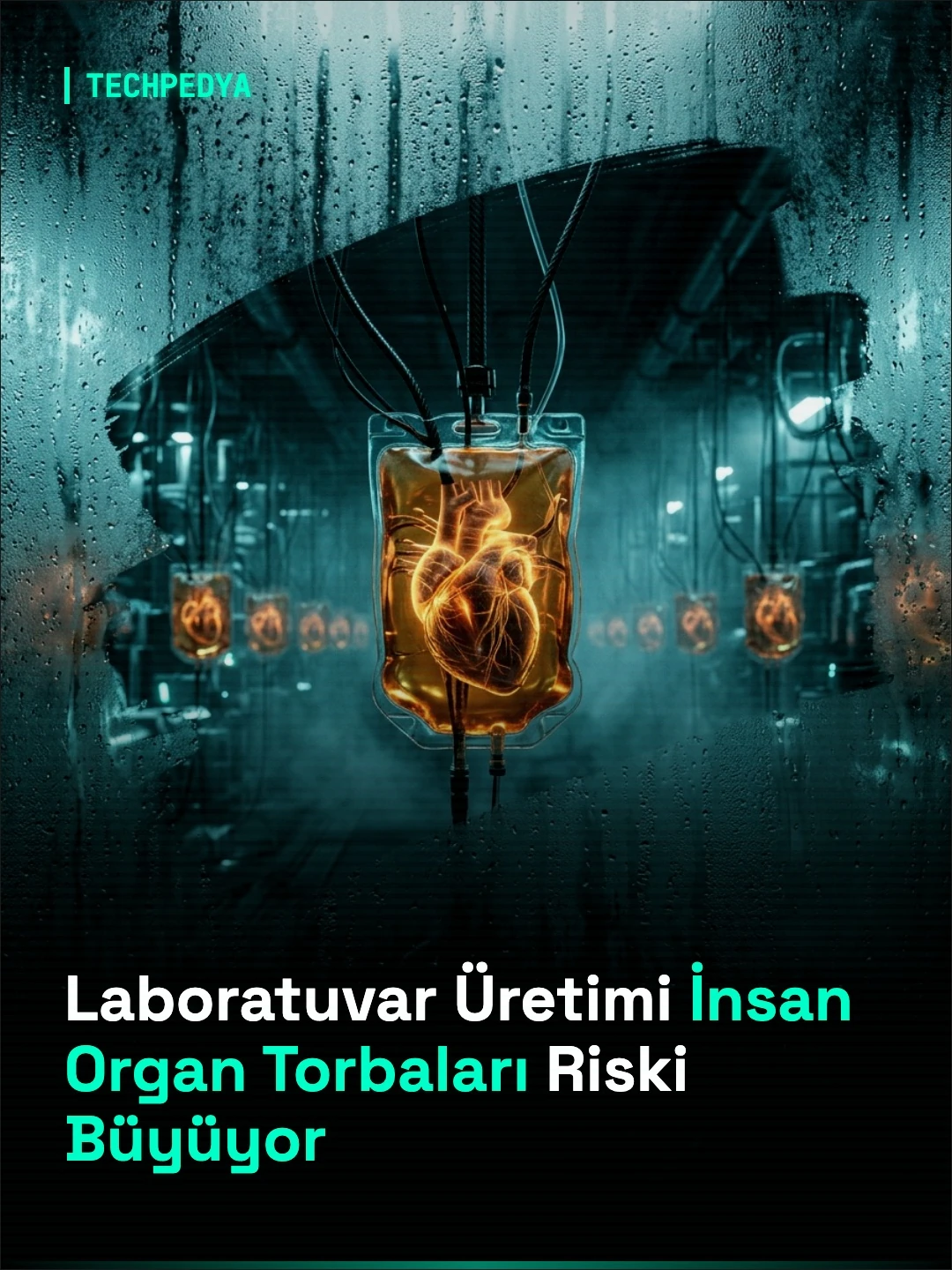 Laboratuvar Üretimi İnsan Organ Torbaları Riski Büyüyor