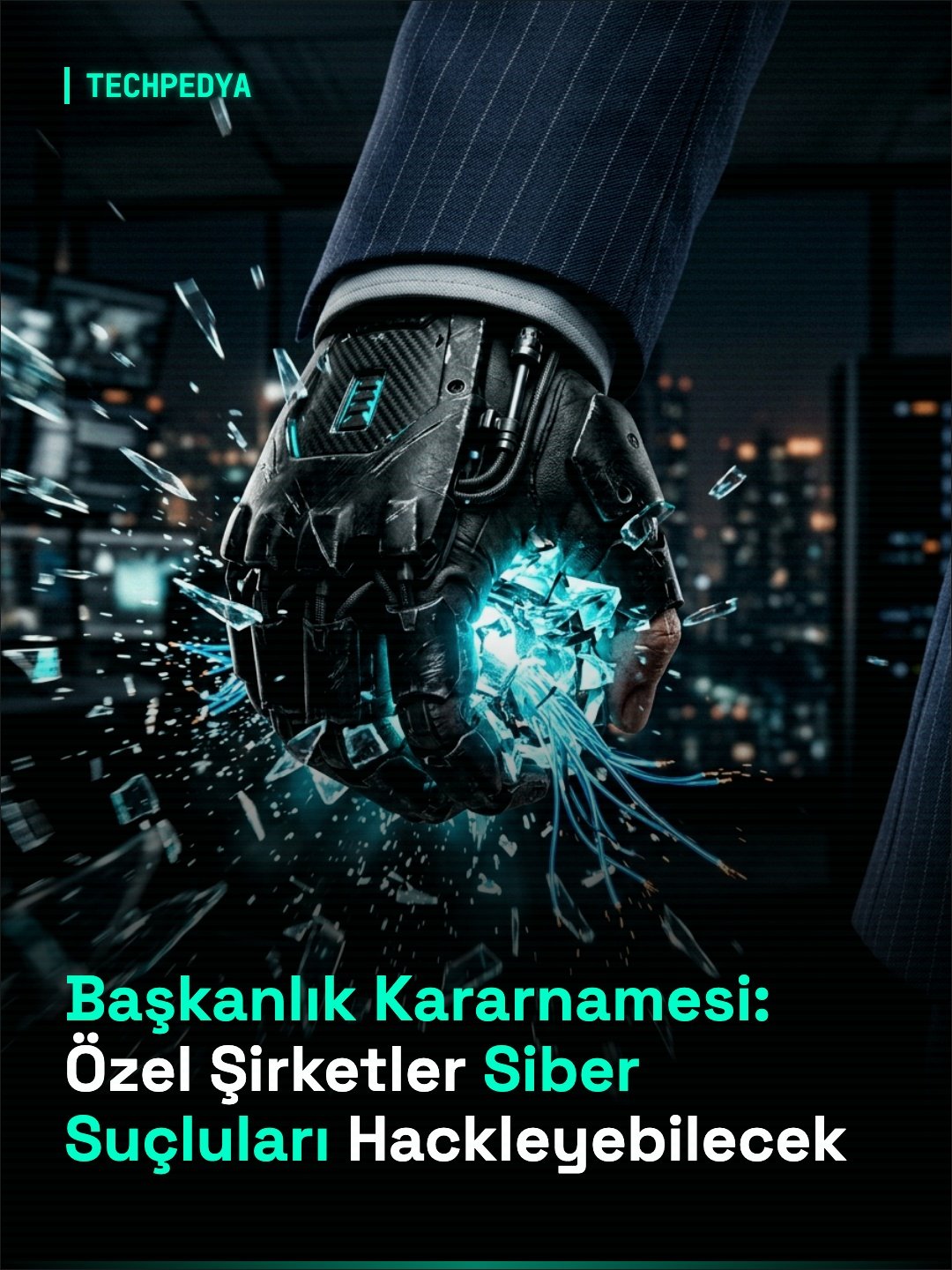 Başkanlık Kararnamesi: Özel Şirketler Siber Suçluları Hackleyebilecek