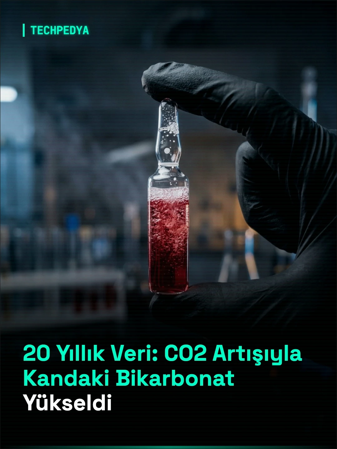 20 Yıllık Veri: CO2 Artışıyla Kandaki Bikarbonat Yükseldi