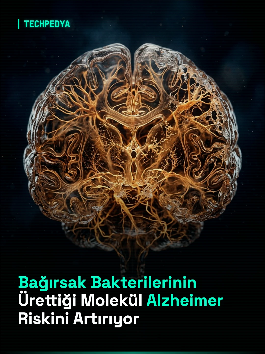 Bağırsak Bakterilerinin Ürettiği Molekül Alzheimer Riskini Artırıyor
