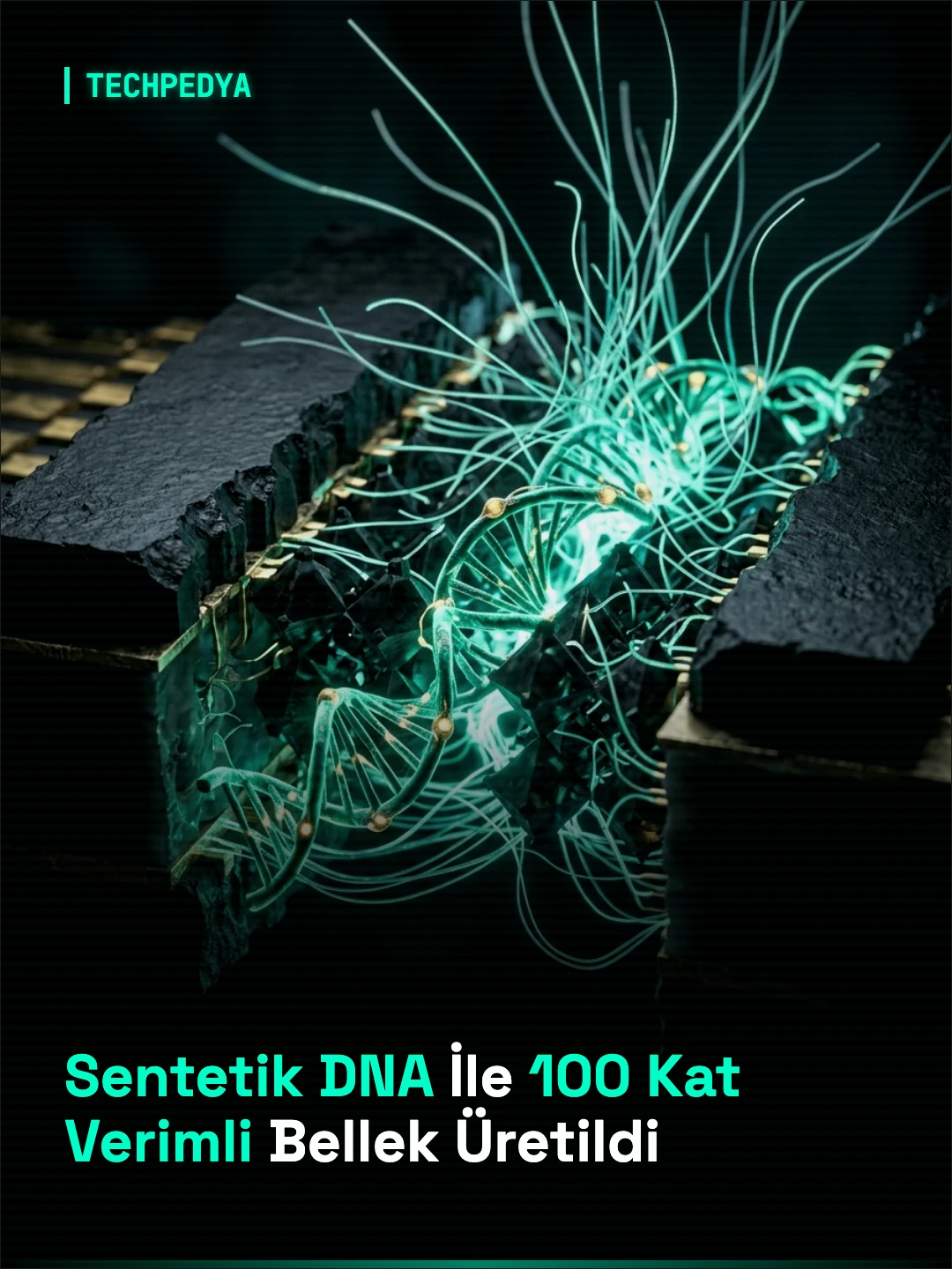 Sentetik DNA İle 100 Kat Verimli Bellek Üretildi