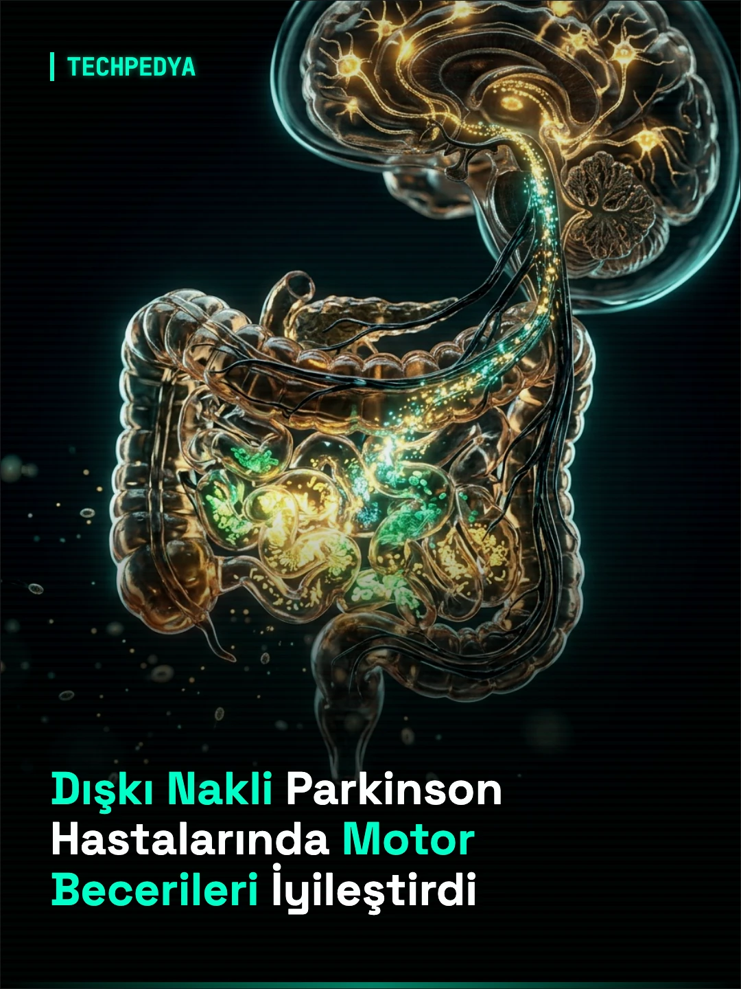 Dışkı Nakli Parkinson Hastalarında Motor Becerileri İyileştirdi