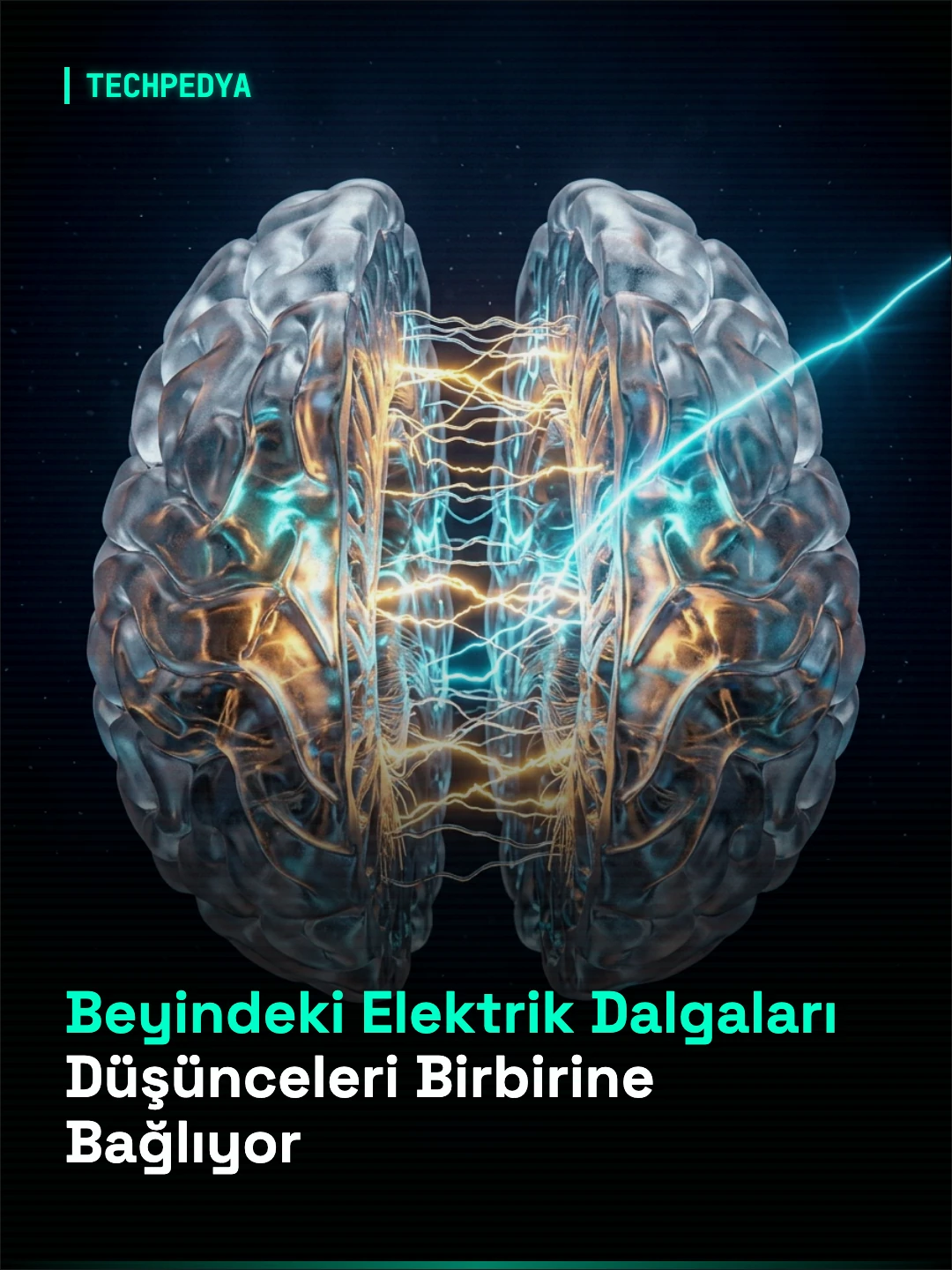 Beyindeki Elektrik Dalgaları Düşünceleri Birbirine Bağlıyor