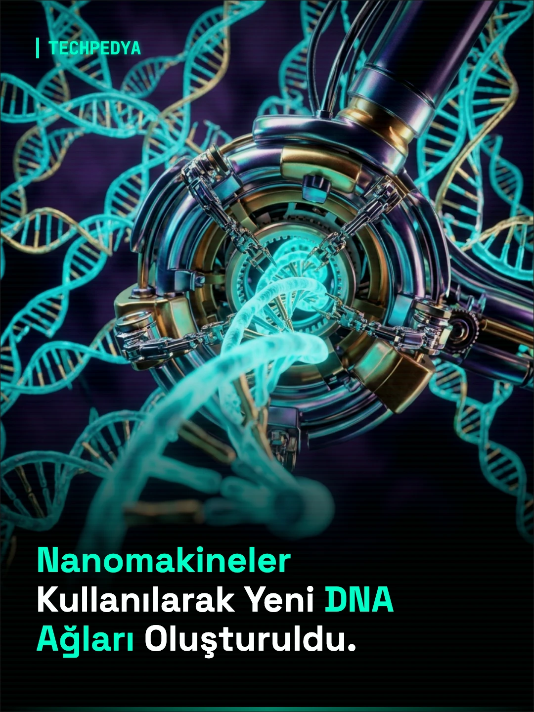 Nanomakineler Kullanılarak Yeni DNA Ağları Oluşturuldu.