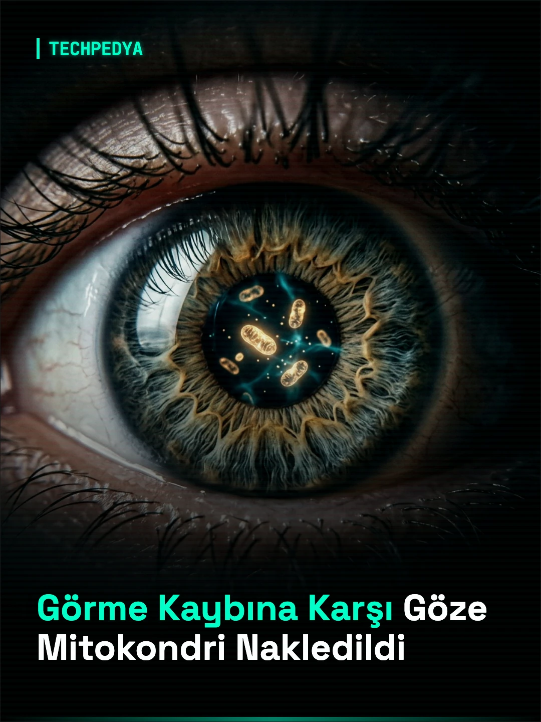 Görme Kaybına Karşı Göze Mitokondri Nakledildi