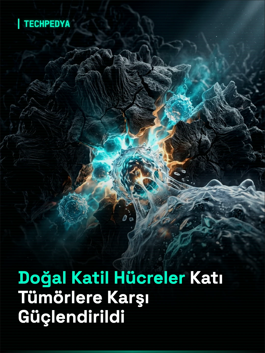 Doğal Katil Hücreler Katı Tümörlere Karşı Güçlendirildi