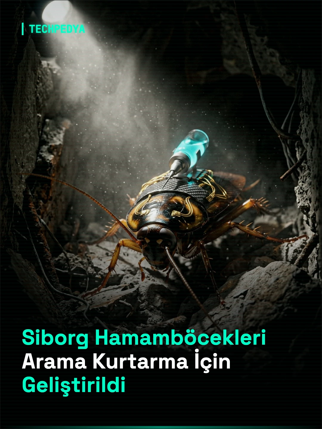 Siborg Hamamböcekleri Arama Kurtarma İçin Geliştirildi