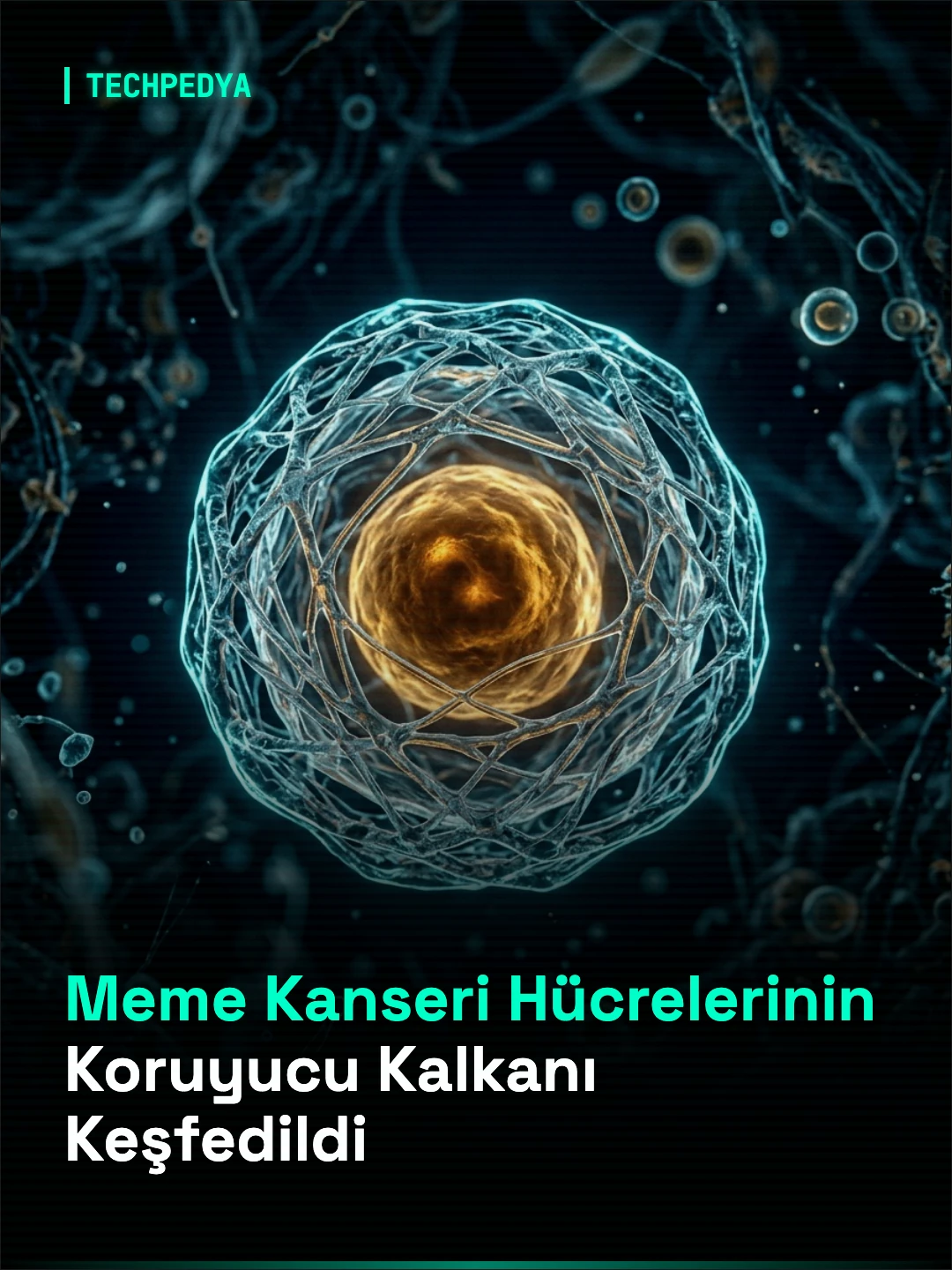 Meme Kanseri Hücrelerinin Koruyucu Kalkanı Keşfedildi