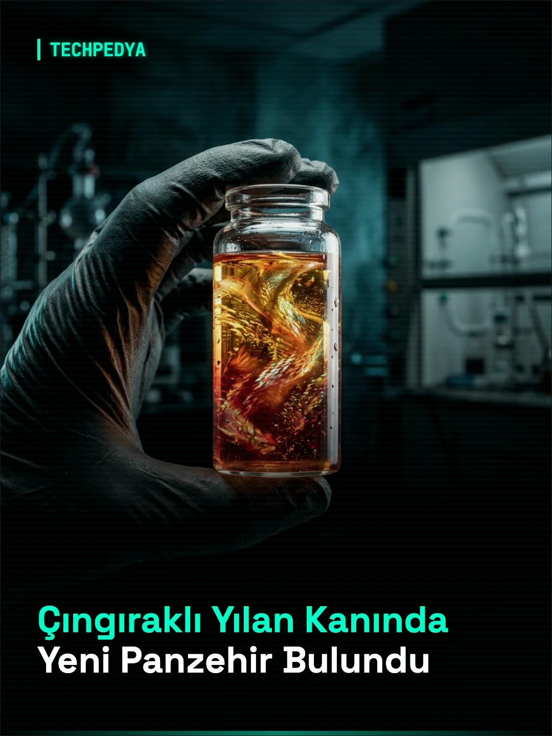 Çıngıraklı Yılan Kanında Yeni Panzehir Bulundu