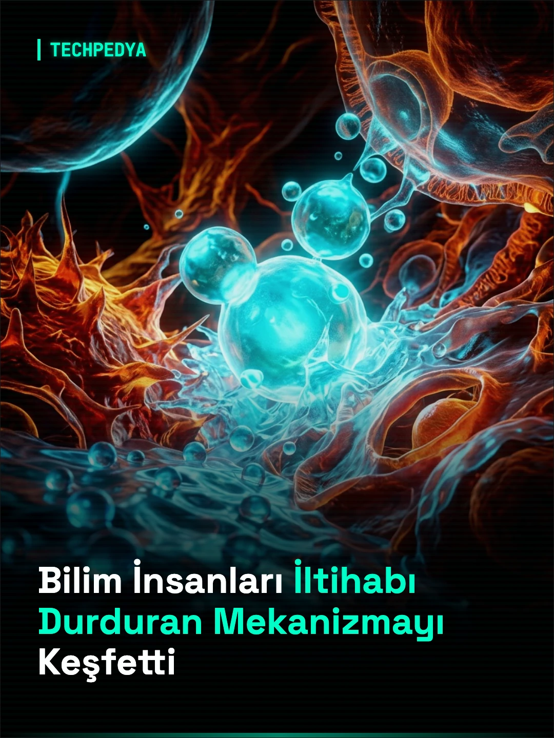 Bilim İnsanları İltihabı Durduran Mekanizmayı Keşfetti