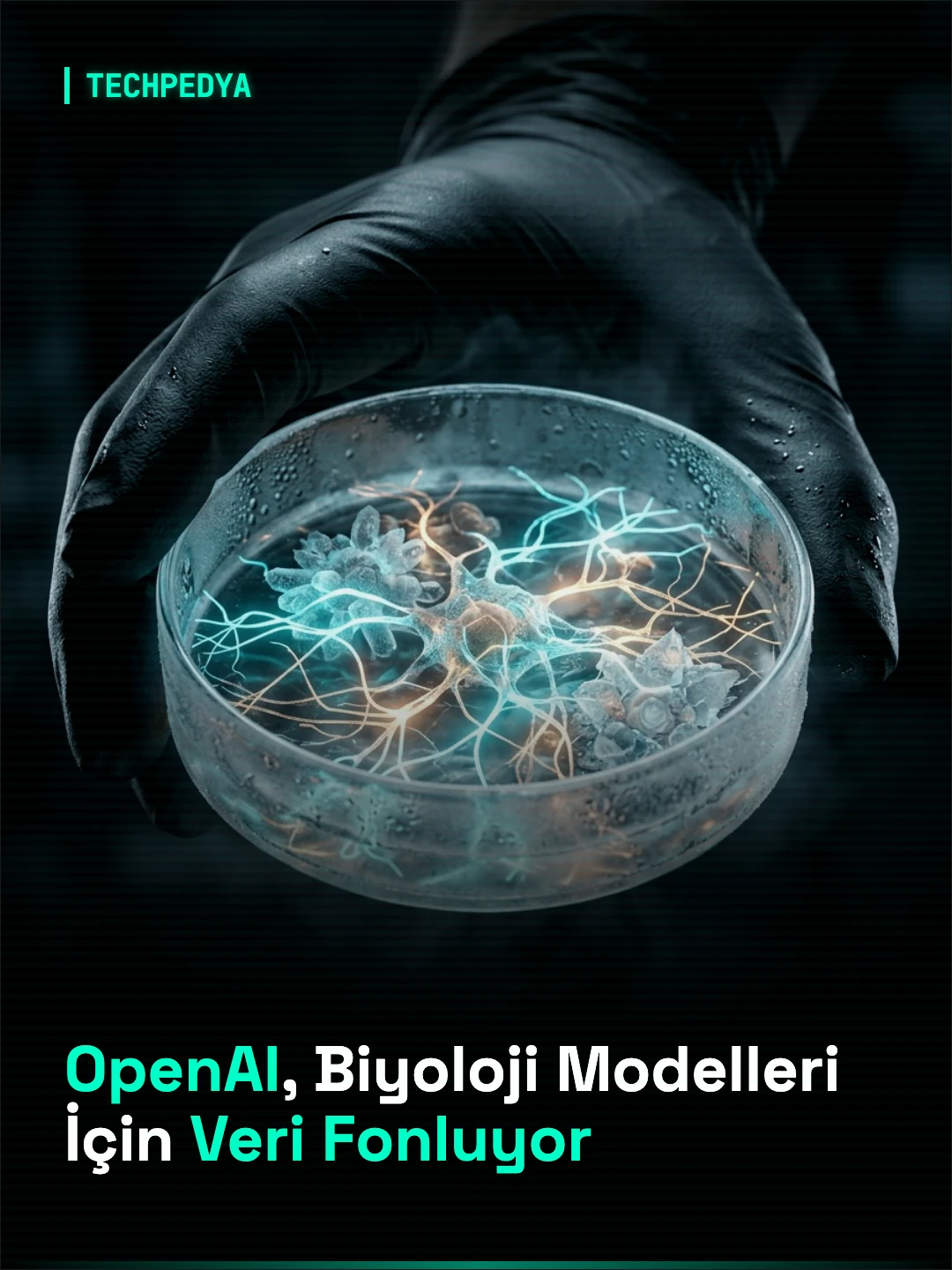 OpenAI, Biyoloji Modelleri İçin Veri Fonluyor