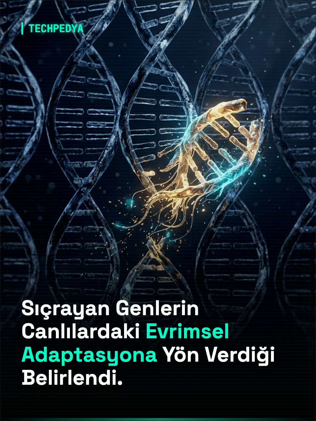 Araştırmalar, Genomda Hareket Eden Sıçrayan Genlerin Canlıların Evrimsel Adaptasyonunda Kritik Rol Oynadığını Gösteriyor.