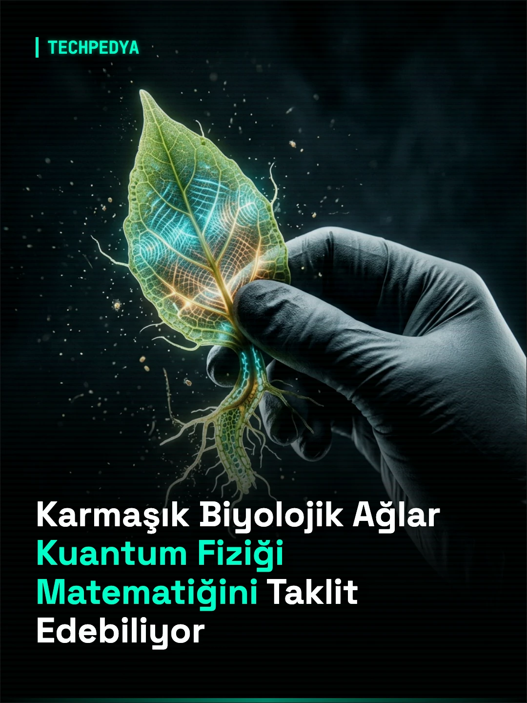 Karmaşık Biyolojik Ağlar, Gerçek Kuantum Durumları Barındırmadan Da Kuantum Fiziğinin Matematiğini Taklit Edebiliyor