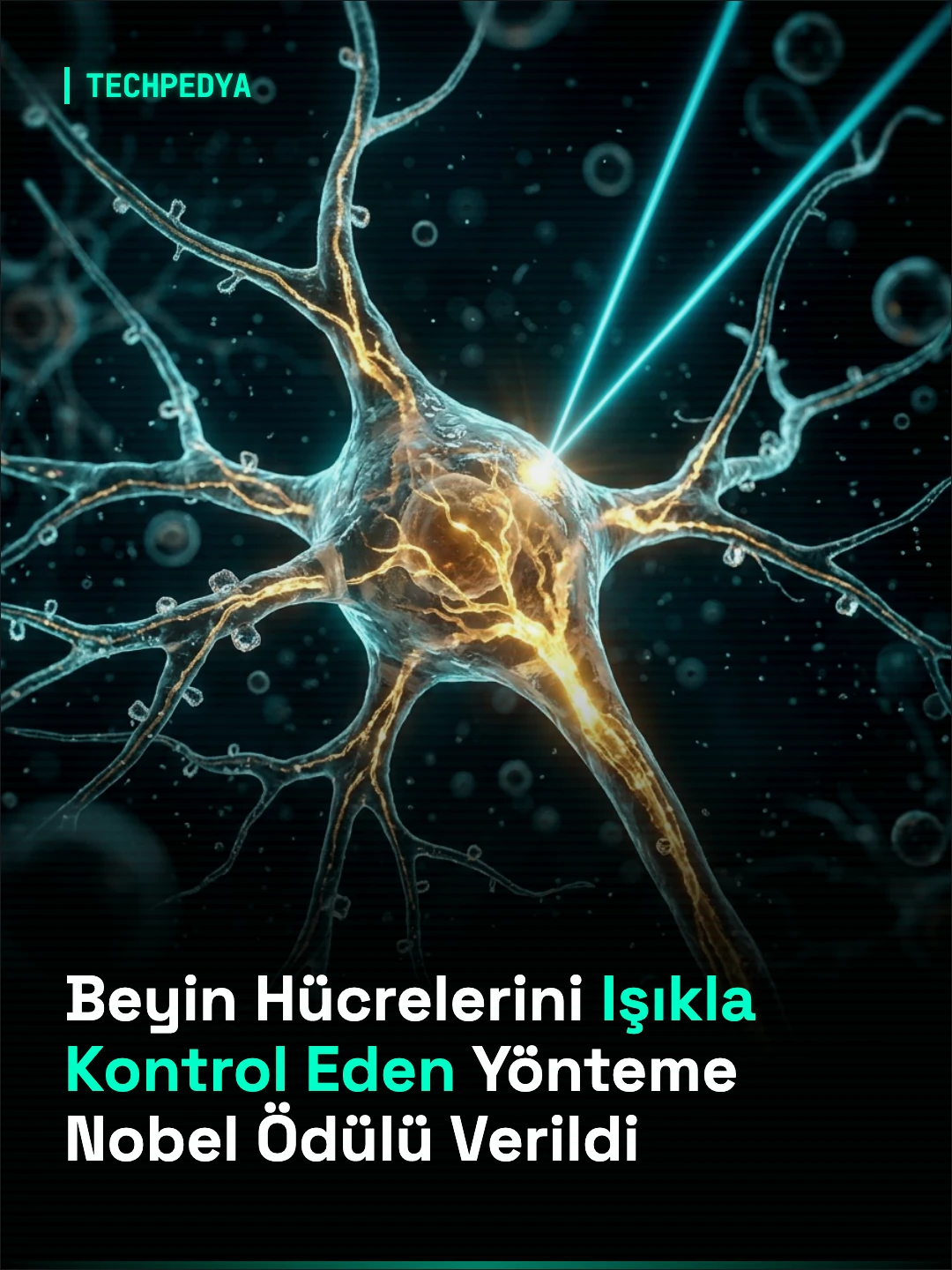 Beyin Hücrelerini Işıkla Kontrol Eden Optogenetik Yöntemi Nobel Tıp Ödülü'nü Kazandı